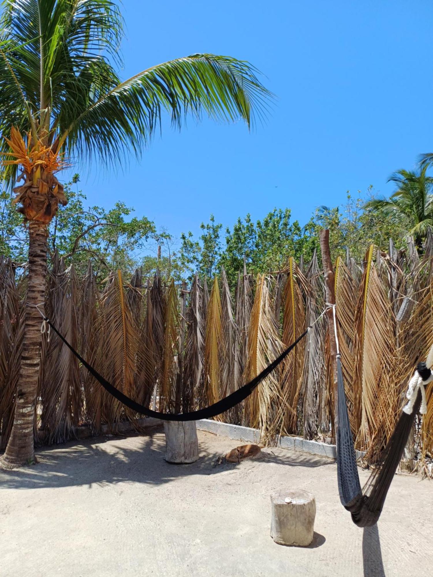Casa Sofia Holbox Aparthotel Екстериор снимка